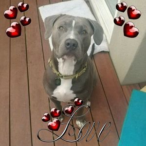 Meet your Posher, Beatrice